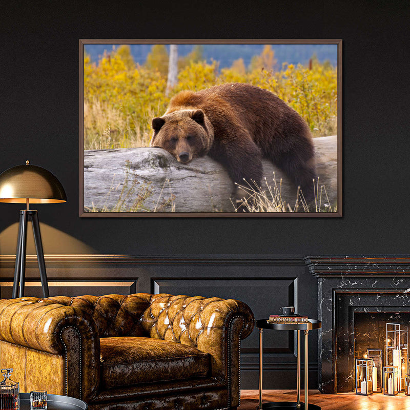 Resting Grizzly Bear Wall Art
