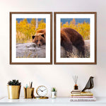Resting Grizzly Bear Wall Art