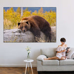 Resting Grizzly Bear Wall Art
