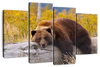 Resting Grizzly Bear Wall Art