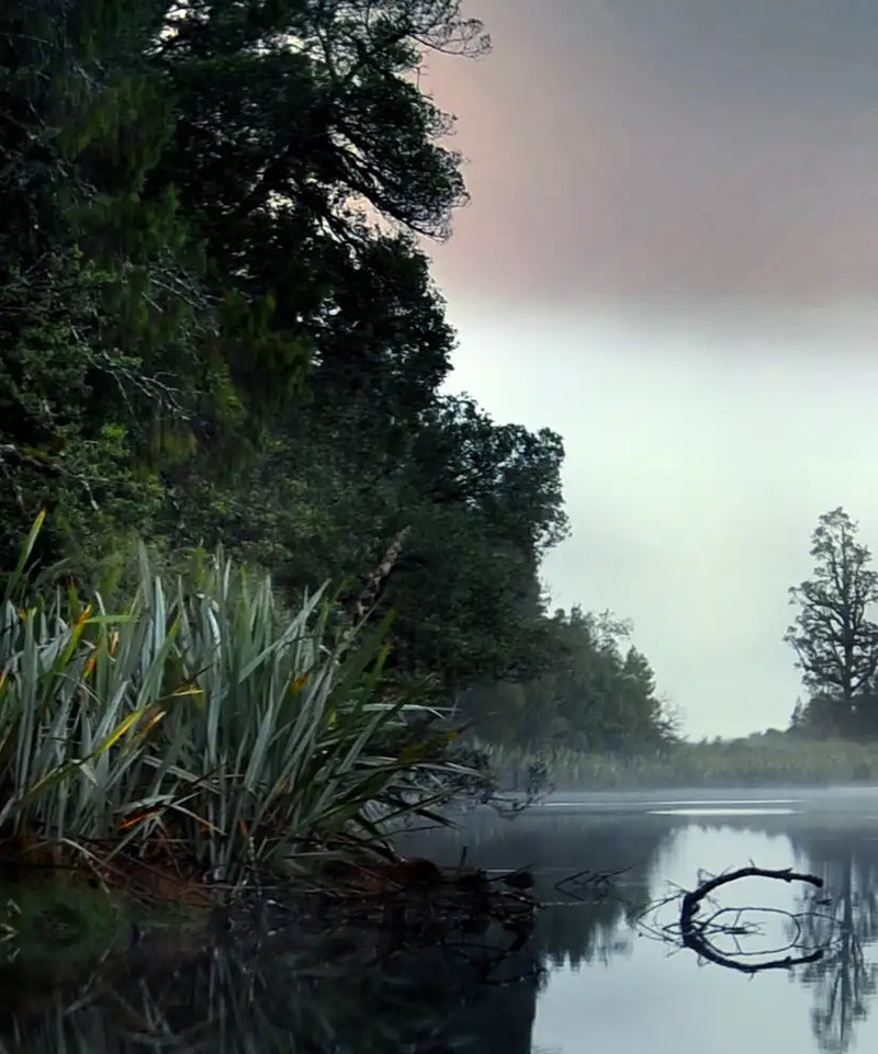 Lake Matheson Reflection Wall Art