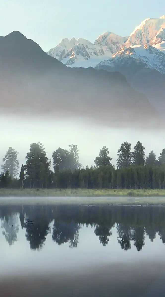 Lake Matheson Reflection Wall Art