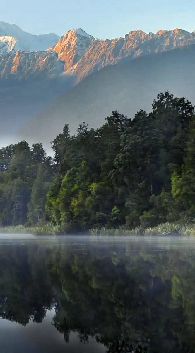 Lake Matheson Reflection Wall Art