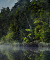 Lake Matheson Reflection Wall Art