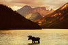 Lake Moose Wall Art