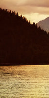 Lake Moose Wall Art
