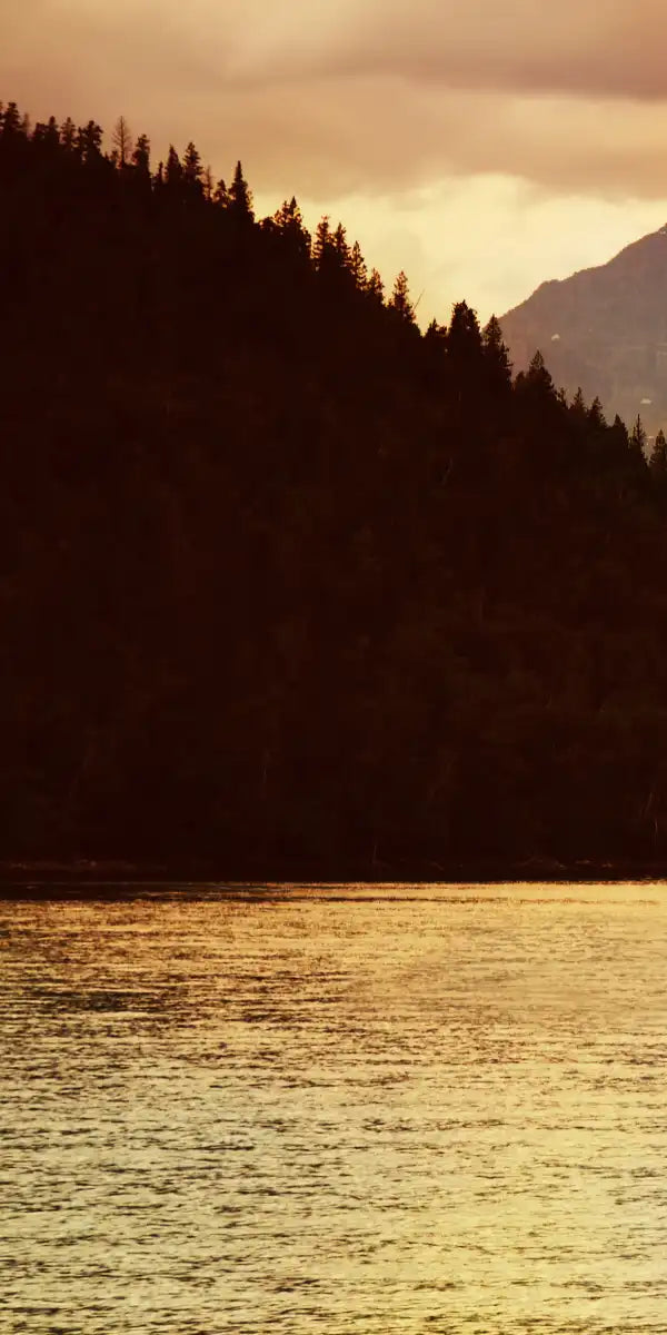 Lake Moose Wall Art