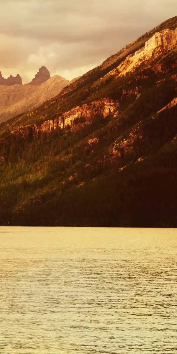 Lake Moose Wall Art