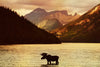 Lake Moose Wall Art