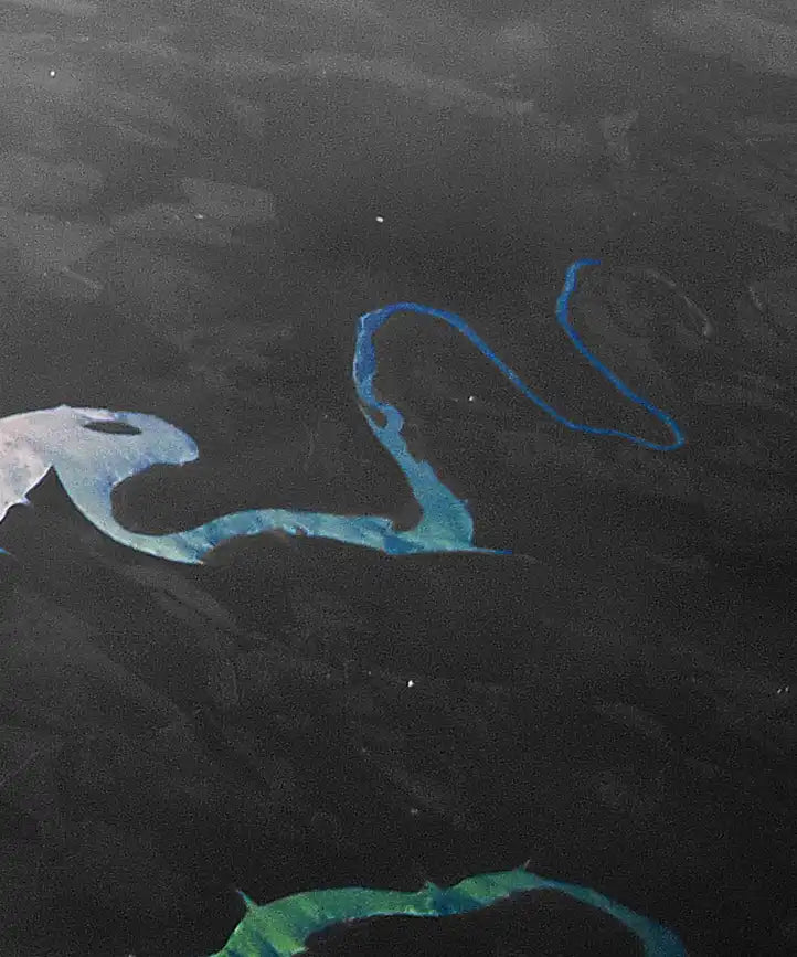 Lake Of The Ozarks Wall Art