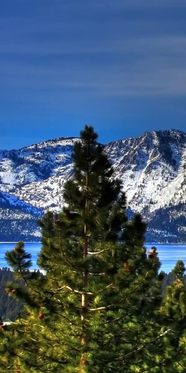 Lake Tahoe Sierra Mountains Wall Art