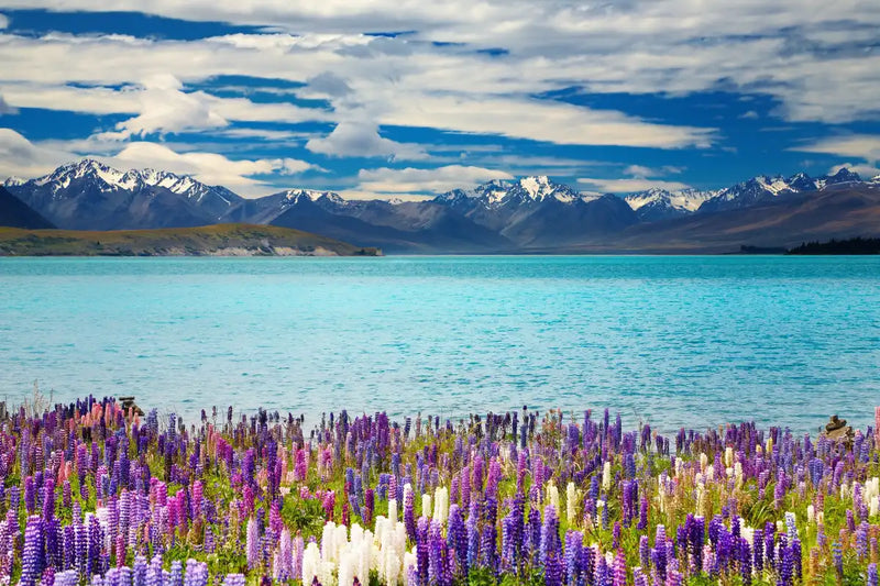 Lake Tekapo Mountain Wall Art