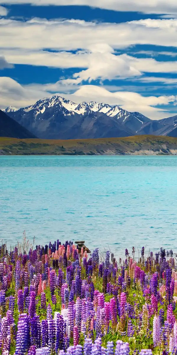 Lake Tekapo Mountain Wall Art