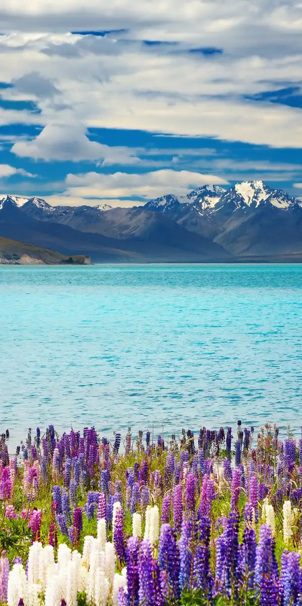 Lake Tekapo Mountain Wall Art
