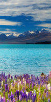 Lake Tekapo Mountain Wall Art