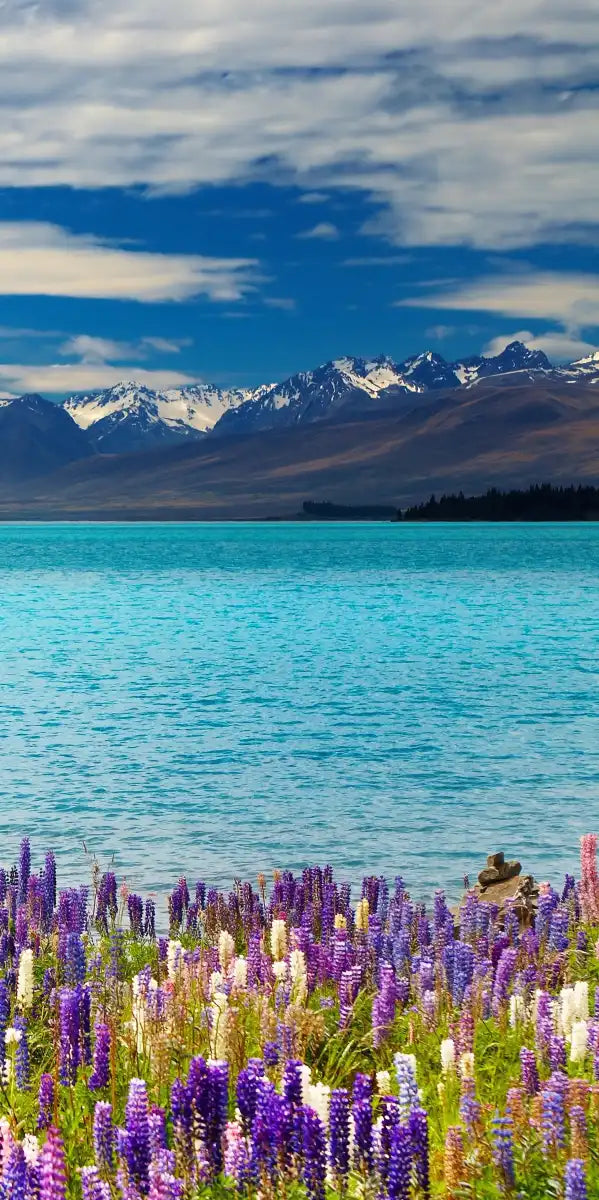 Lake Tekapo Mountain Wall Art