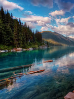 Lake Walkway Wall Art