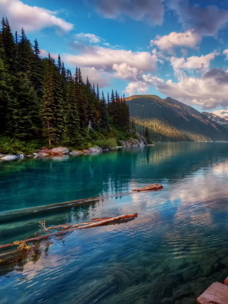 Lake Walkway Wall Art