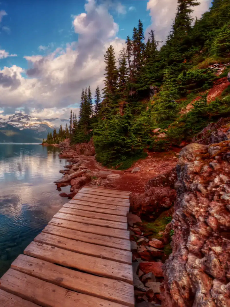 Lake Walkway Wall Art