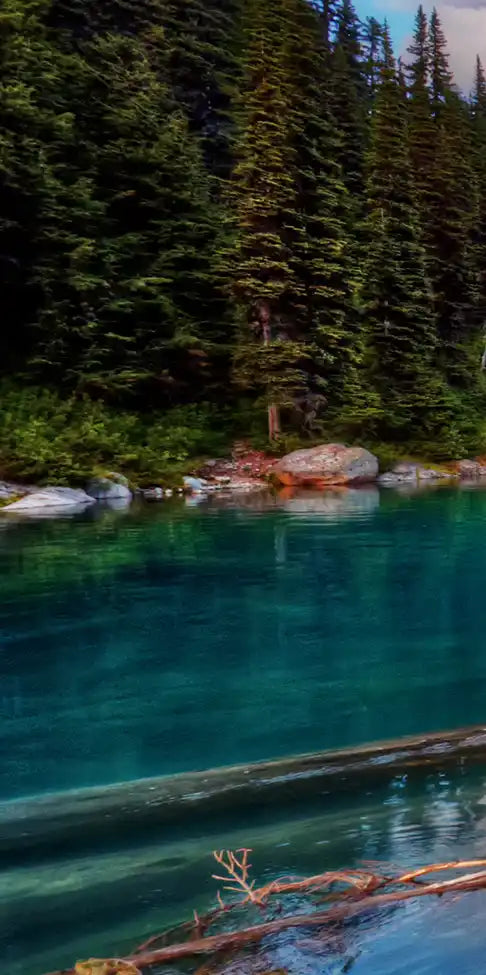 Lake Walkway Wall Art