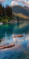 Lake Walkway Wall Art