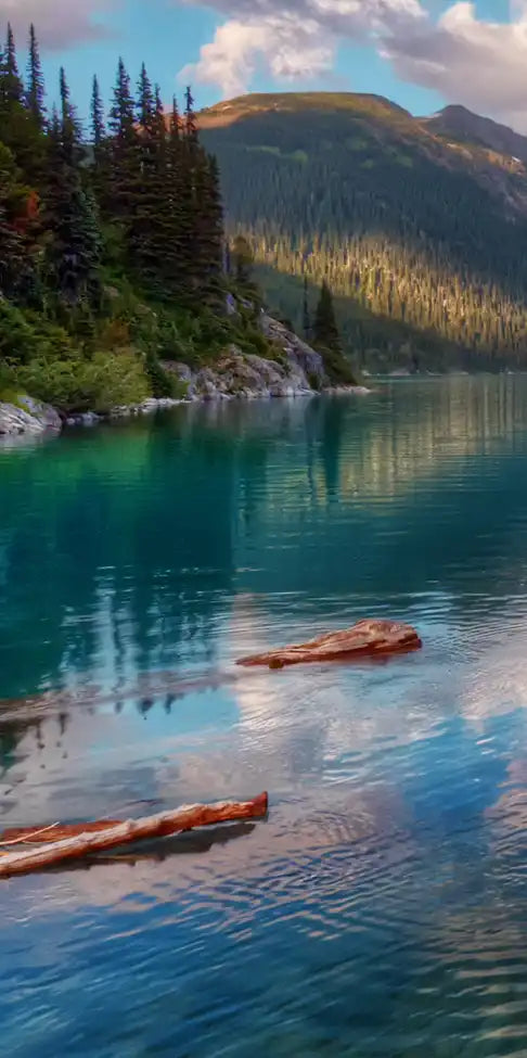 Lake Walkway Wall Art