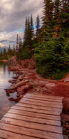 Lake Walkway Wall Art