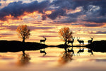 Lakeside Deer Wall Art