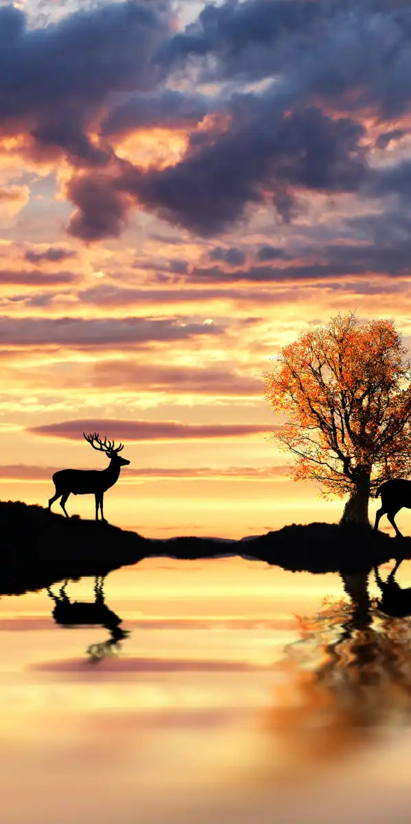 Lakeside Deer Wall Art