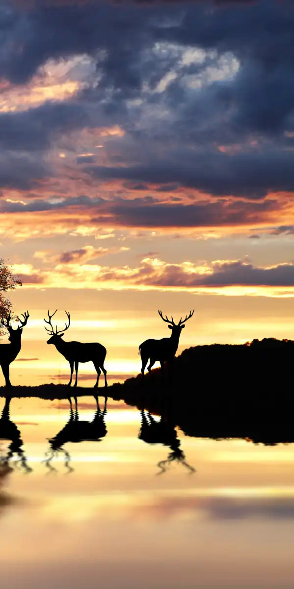 Lakeside Deer Wall Art