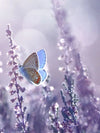 Lavender Flower Wall Art