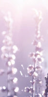 Lavender Flower Wall Art
