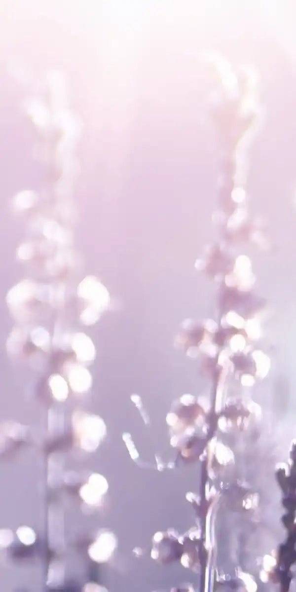 Lavender Flower Wall Art
