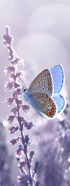 Lavender Flower Wall Art