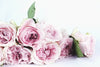 Layers Of Pink Peonies Wall Art