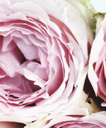 Layers Of Pink Peonies Wall Art