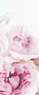 Layers Of Pink Peonies Wall Art