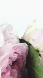 Layers Of Pink Peonies Wall Art