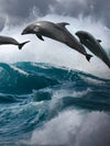 Leaping Dolphins Wall Art