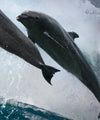 Leaping Dolphins Wall Art
