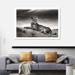 Lioness Wall Art