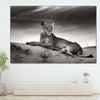 Lioness Wall Art