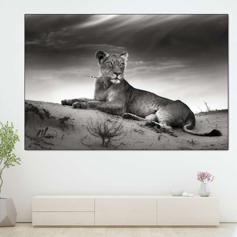 Lioness Wall Art
