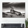 Lioness Wall Art