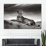 Lioness Wall Art