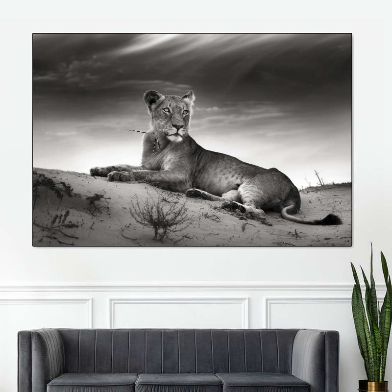 Lioness Wall Art