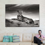 Lioness Wall Art