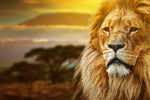 Lion In African Safari Wall Art