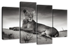 Lioness Wall Art