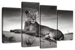 Lioness Wall Art
